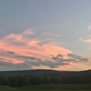 Meet your Posher, Carmen